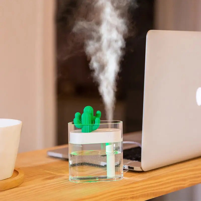 Cactus Humidifier