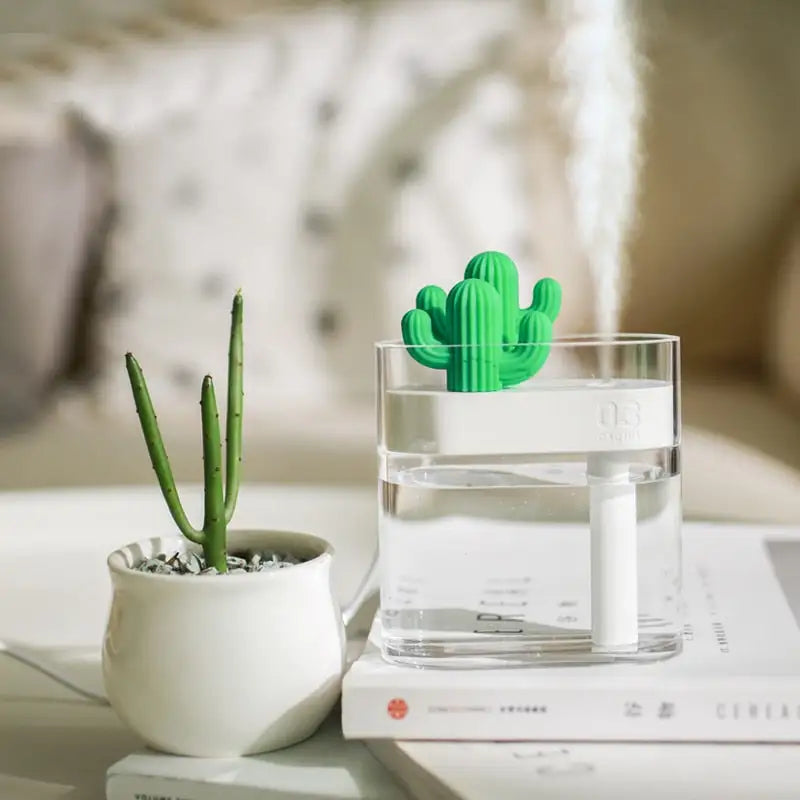 Cactus Humidifier